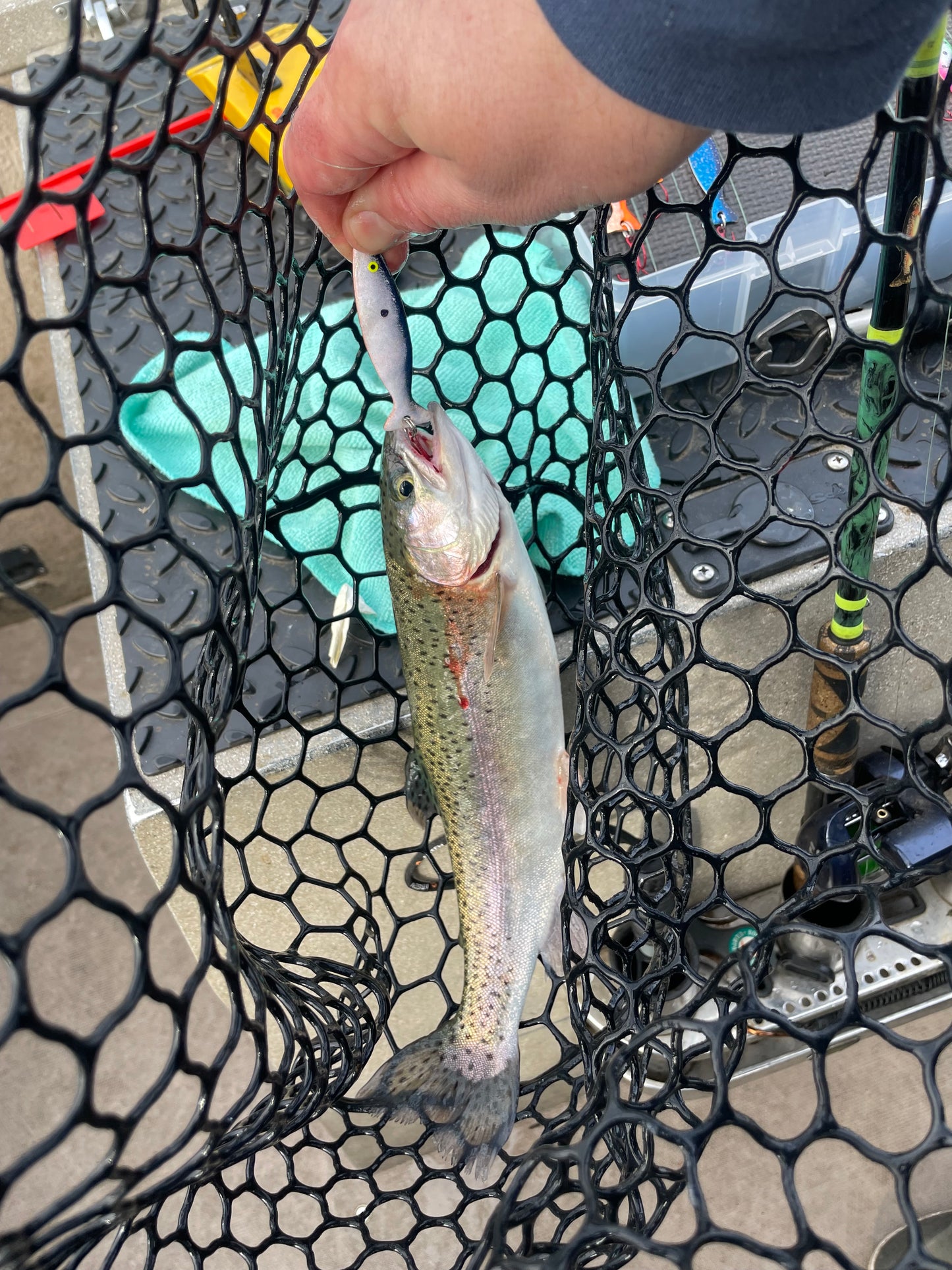 Minnow Spoon Shad Hammered Copper