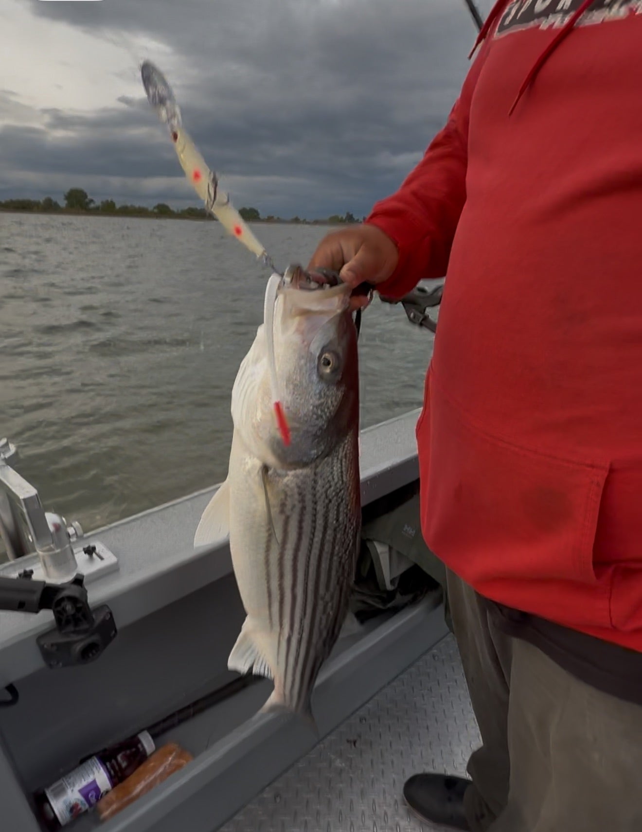 DinoMite Deep Diver “Killer B’s Bloody Bone”