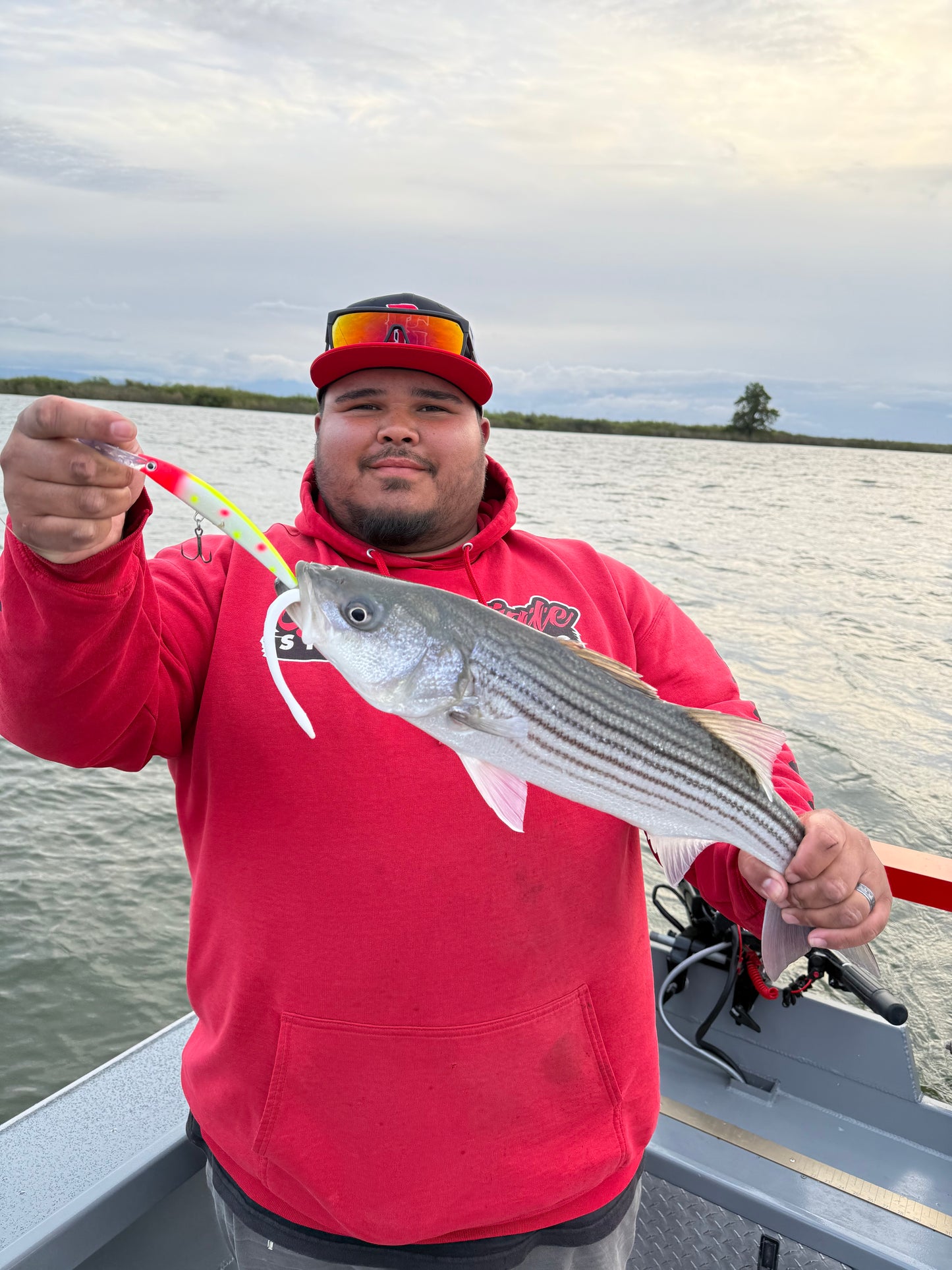 DinoMite Deep Diver “Golden State Special”