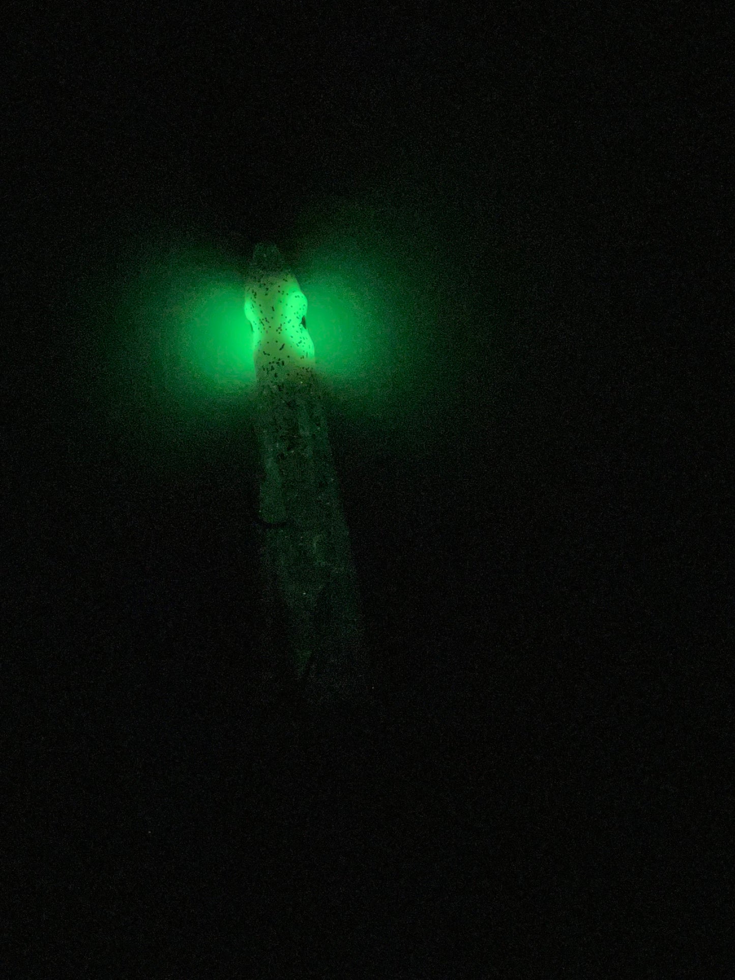 3” Hoochie Lure White with Glow eyes