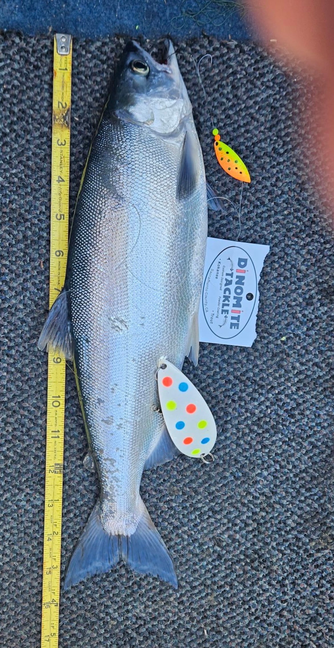 3.5 Pex Lure Tequila Sunrise Ladybug Gold