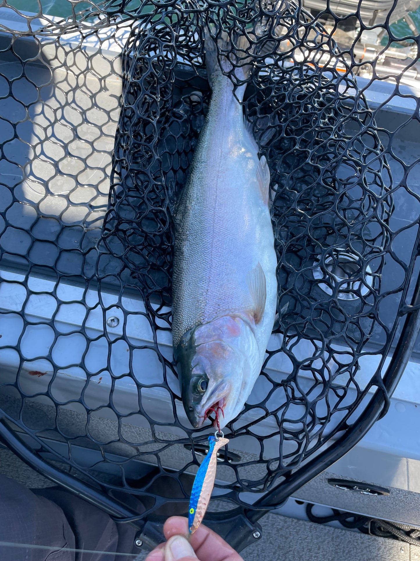 Minnow Spoon half Blue Hammered Copper