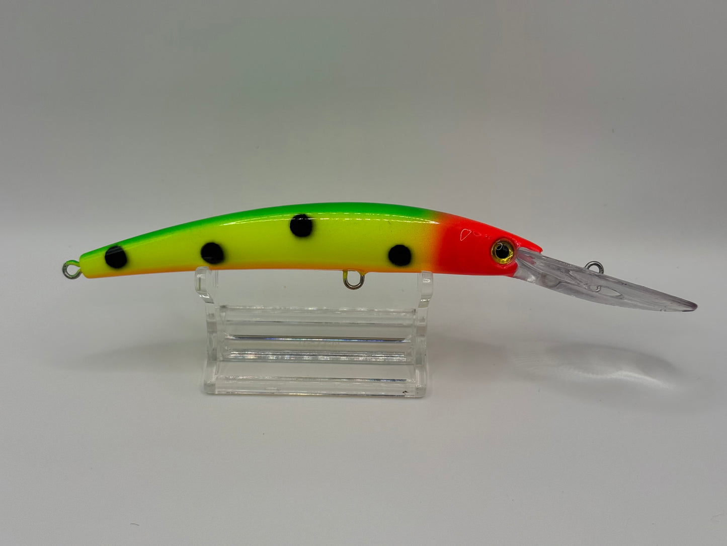 DinoMite Deep Diver “Parrot”