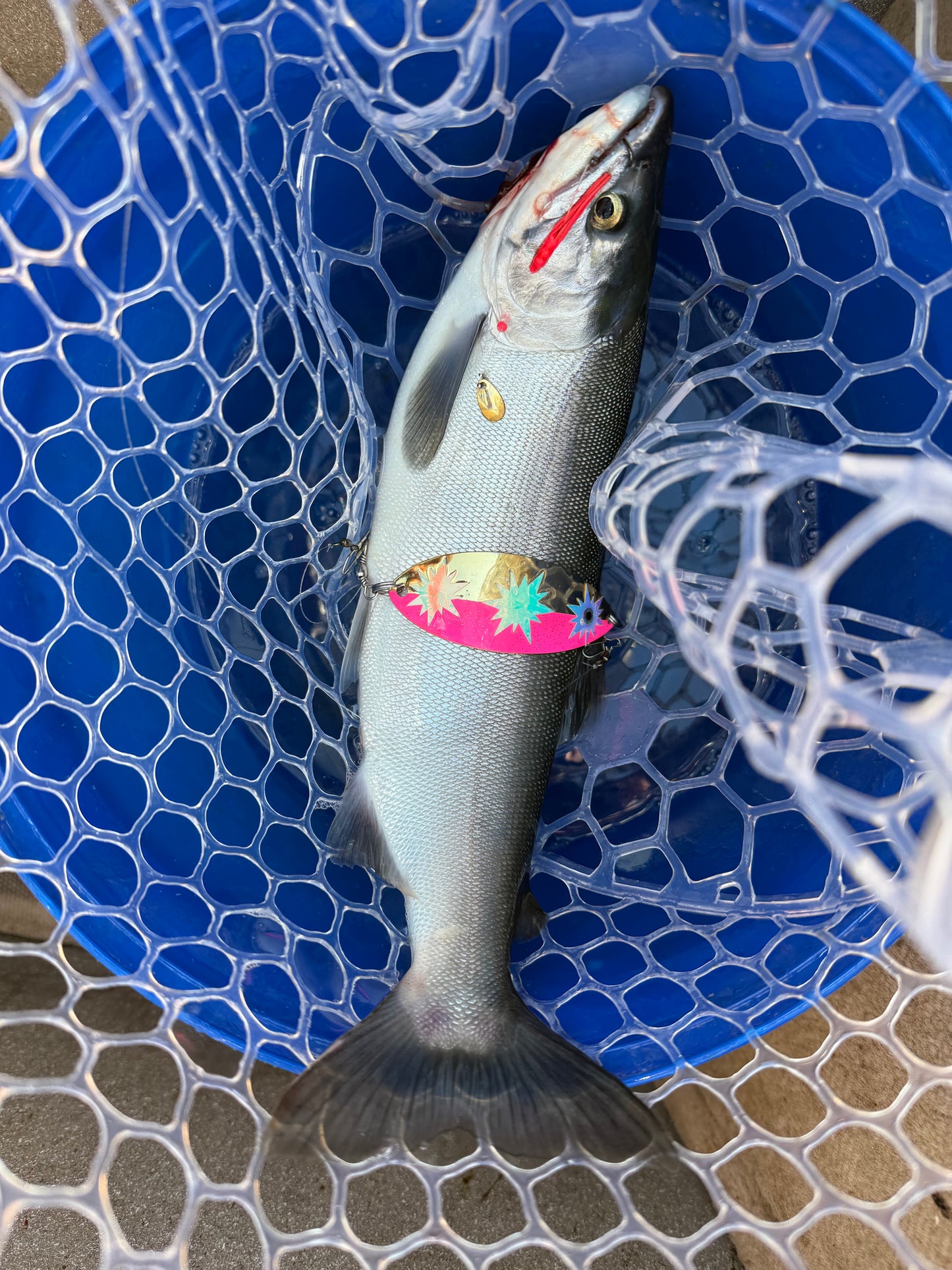 DinoMite Micro Hoochie Spinner