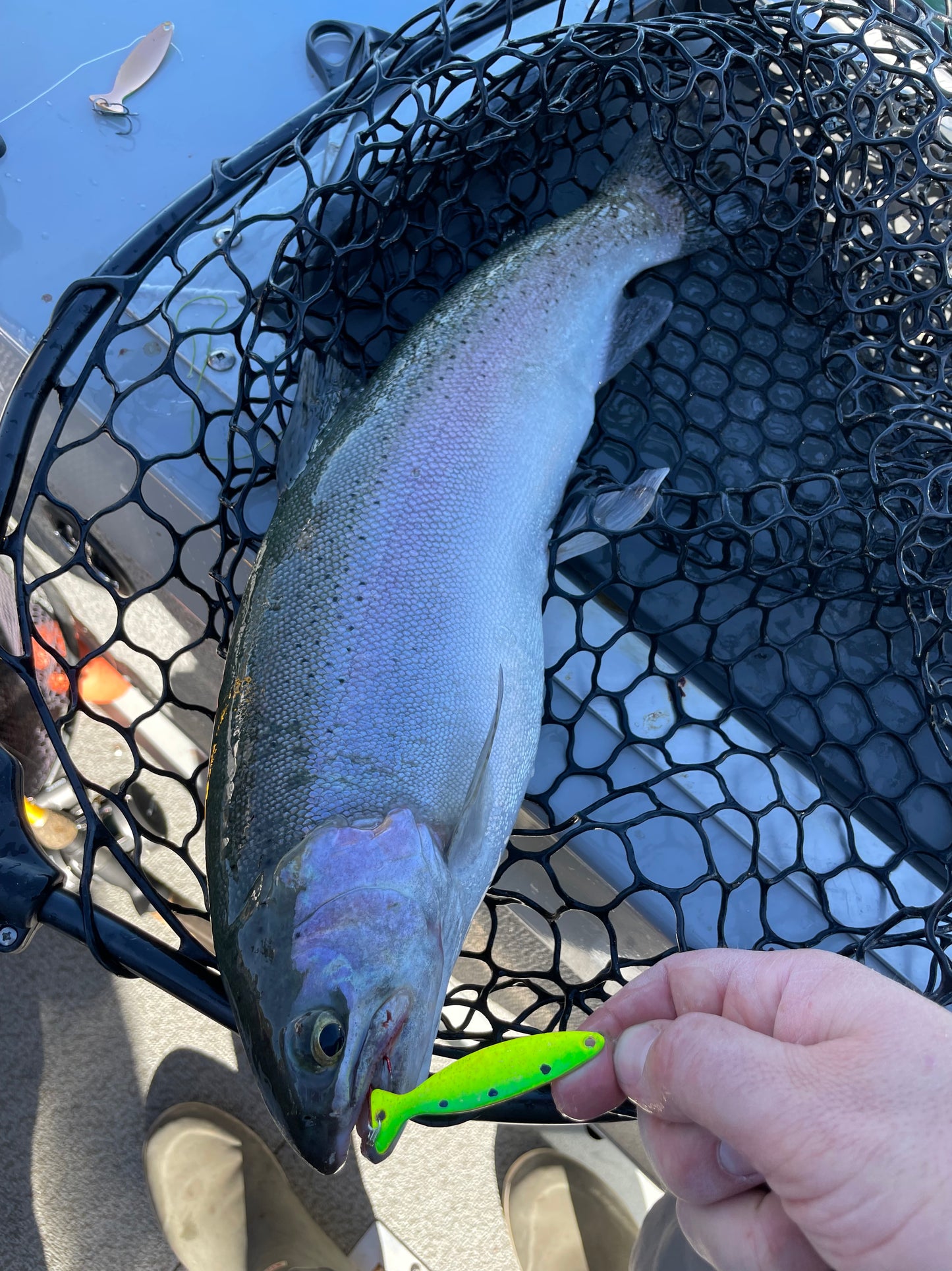 Minnow Spoon Lemon Lime Hammered Copper