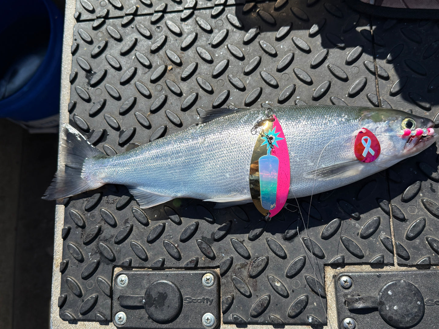 DinoMite 3.5c Spinner Glow “Cancer Awareness Ribbon Moon Jelly”