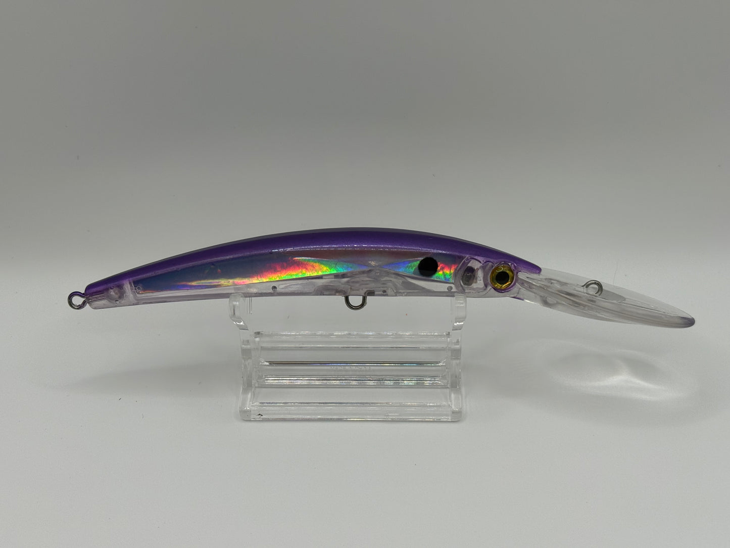DinoMite Deep Diver “Purple Back”