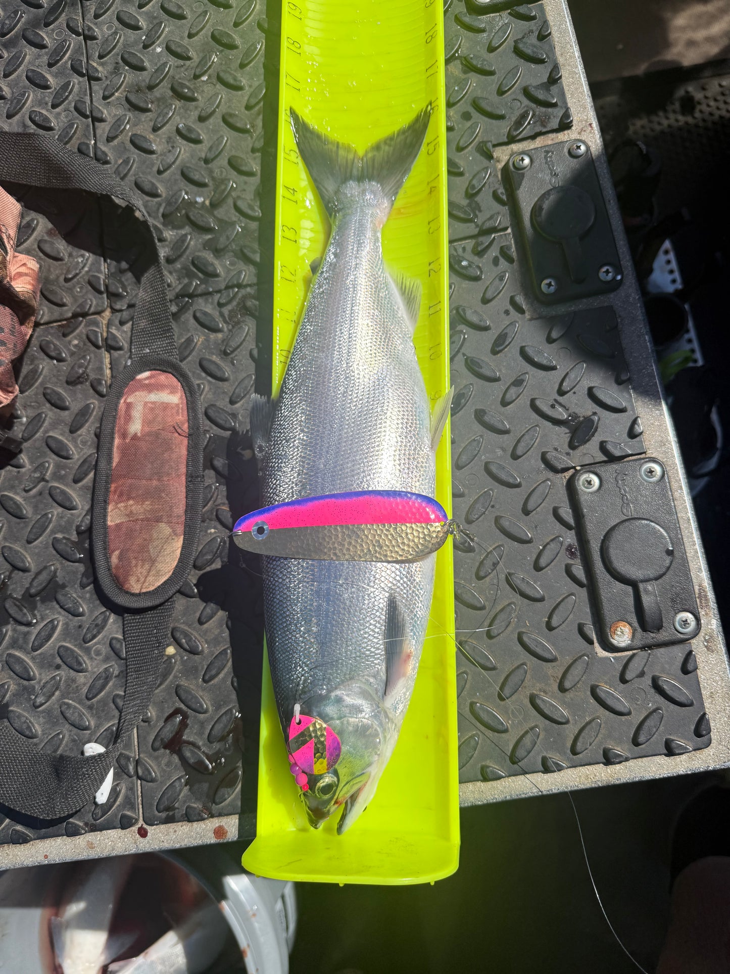 DinoMite 3.5c Spinner Lucky 7 Pink Purple 24k Gold