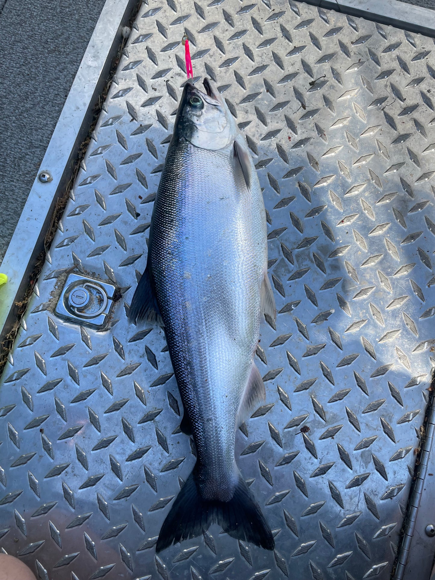 DinoMite Micro Hoochie Spinner