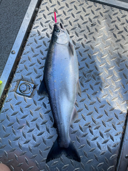 DinoMite Micro Hoochie Spinner