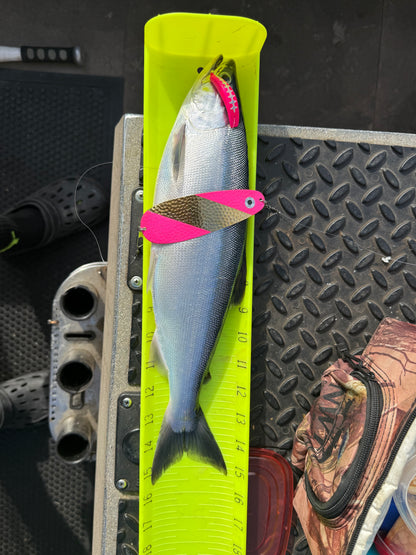 DinoMite Jackrabbit Fluorescent Pink with Glow Moon Jelly
