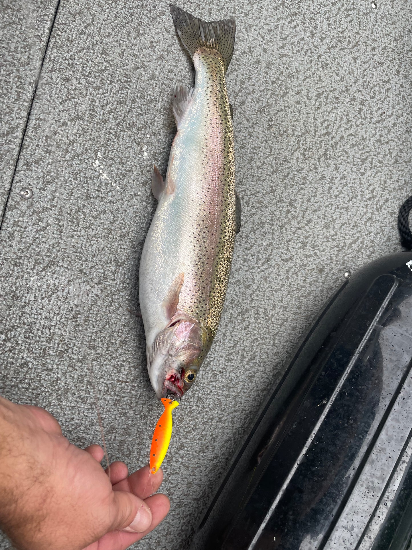 Minnow Spoon Tequila Sunrise Hammered Cooper
