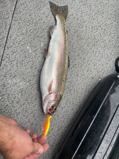 Minnow Spoon Tequila Sunrise Hammered Cooper